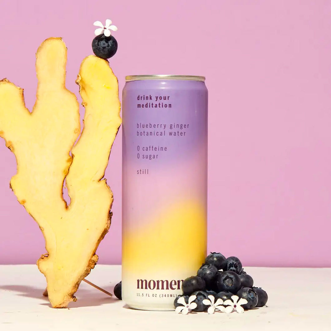 Botanical Water - Blueberry Ginger (NA DRINK) / MOMENT