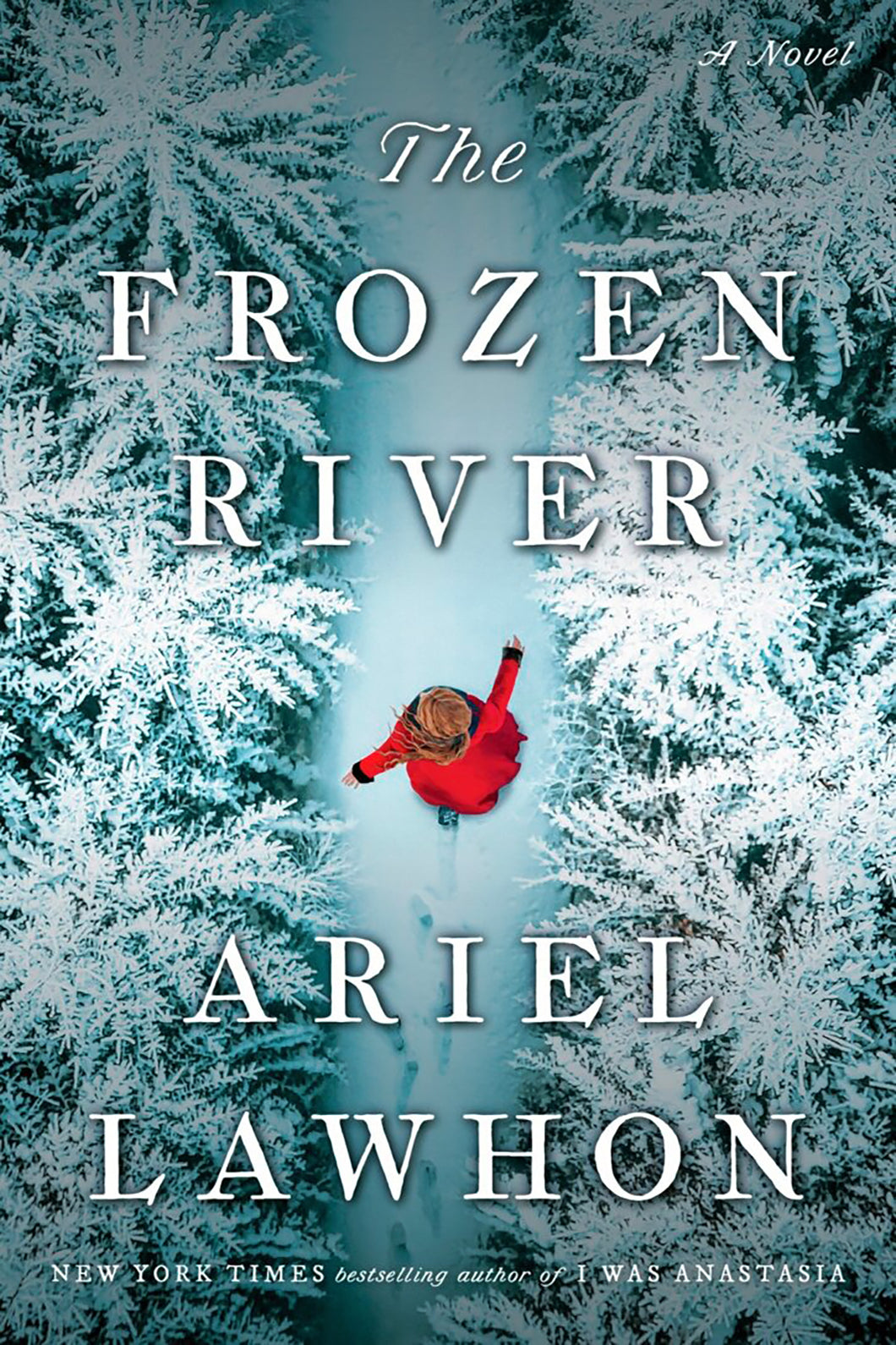 The Frozen River by Ariel Lawhon / BOOK OR BUNDLE - Starting at $28!