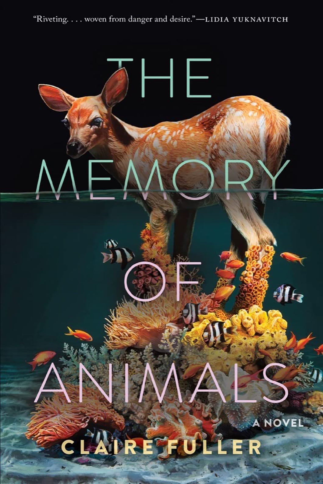 The Memory of Animals by Claire Fuller / BOOK OR BUNDLE - Starting at $28!