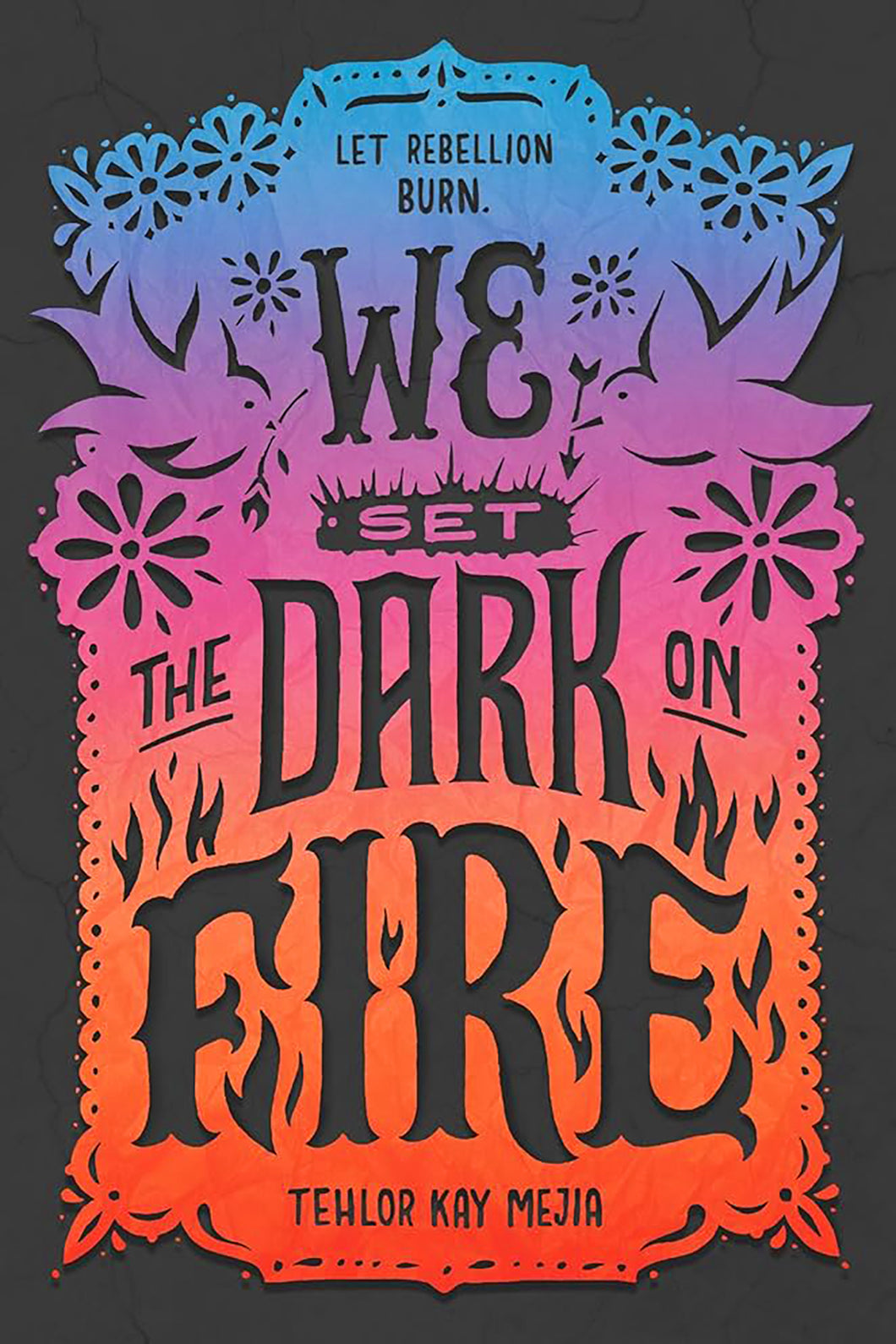 We Set the Dark on Fire by Tehlor Kay Mejia / Hardcover or Paperback - NEW BOOK