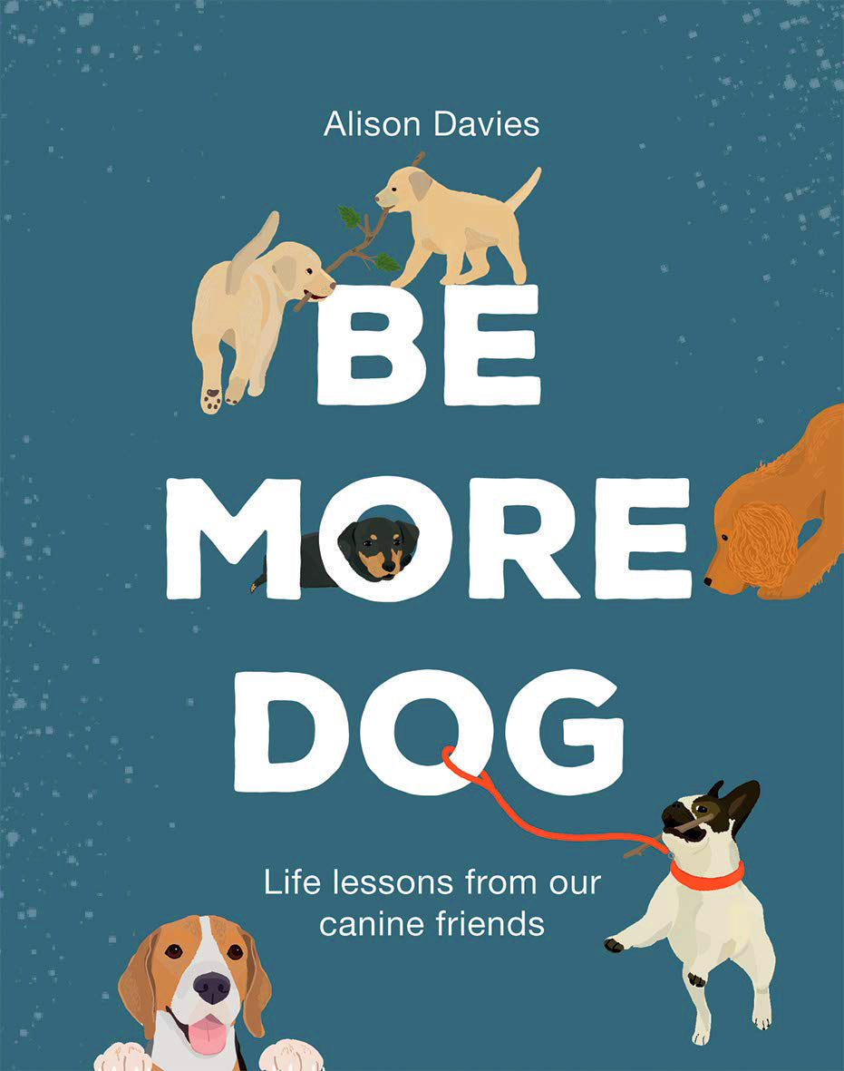 Be More Dog: Life Lessons from Man's Best Friend by Alison Davies / Hardcover - NEW BOOK OR BOOK BOX