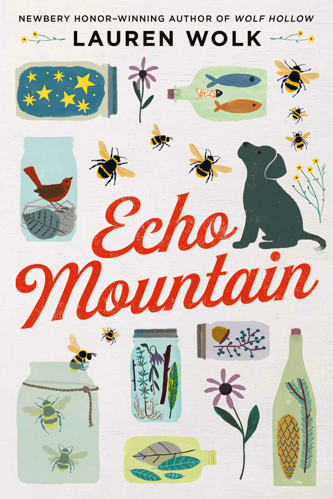 Echo Mountain by Lauren Wolk / Hardcover or Paperback - NEW BOOK