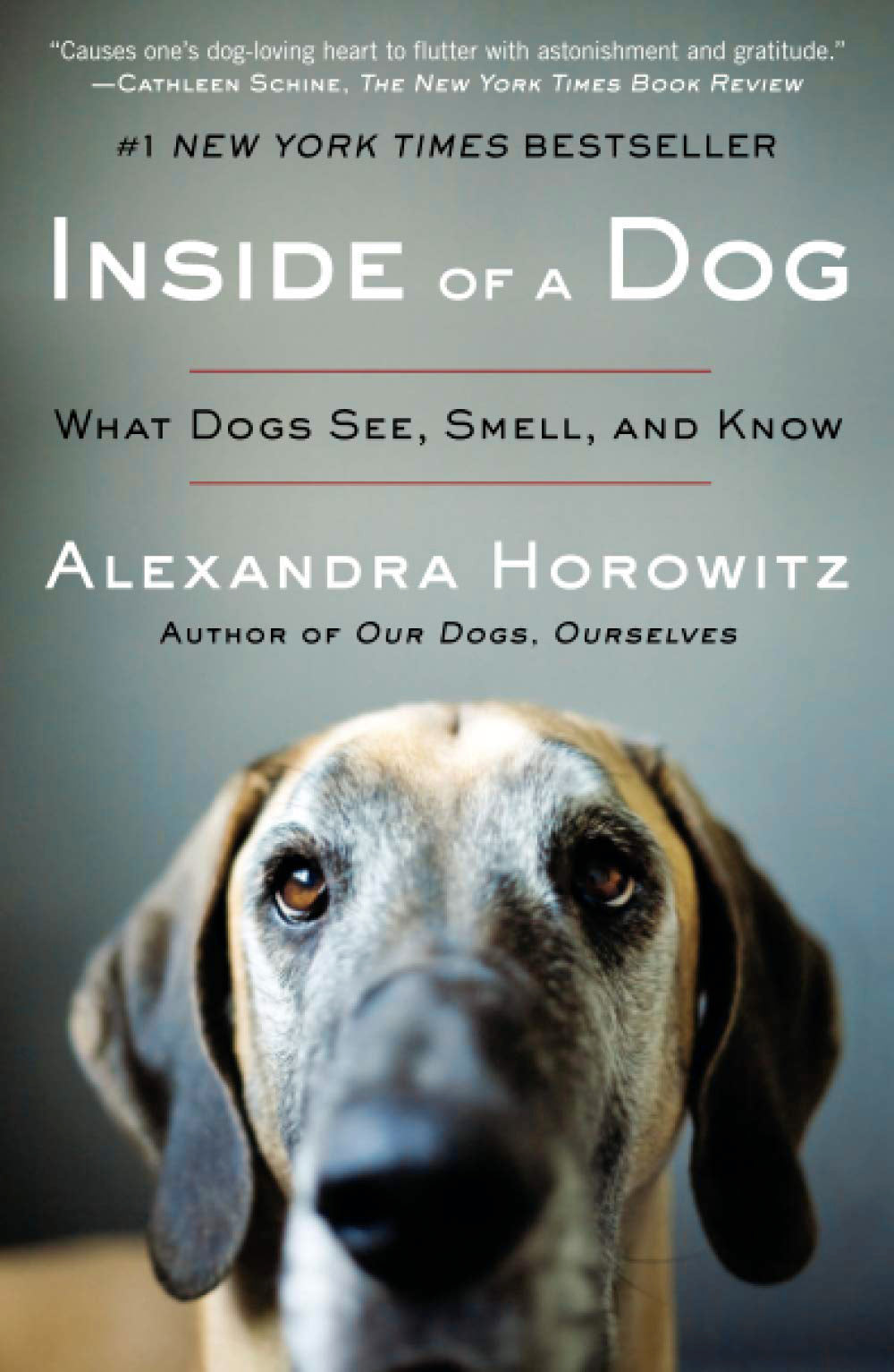 Inside of a Dog: What Dogs See, Smell, and Know by Alexandra Horowitz / Paperback - NEW BOOK OR BOOK BOX
