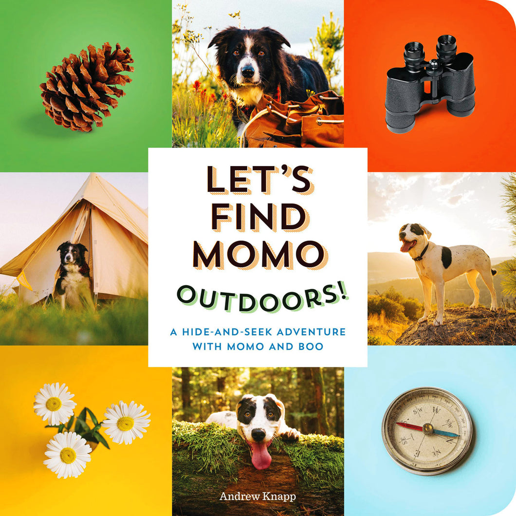 Let's Find Momo Outdoors!: A Hide-And-Seek Board Book by Andrew Knapp / Hardcover - NEW BOOK