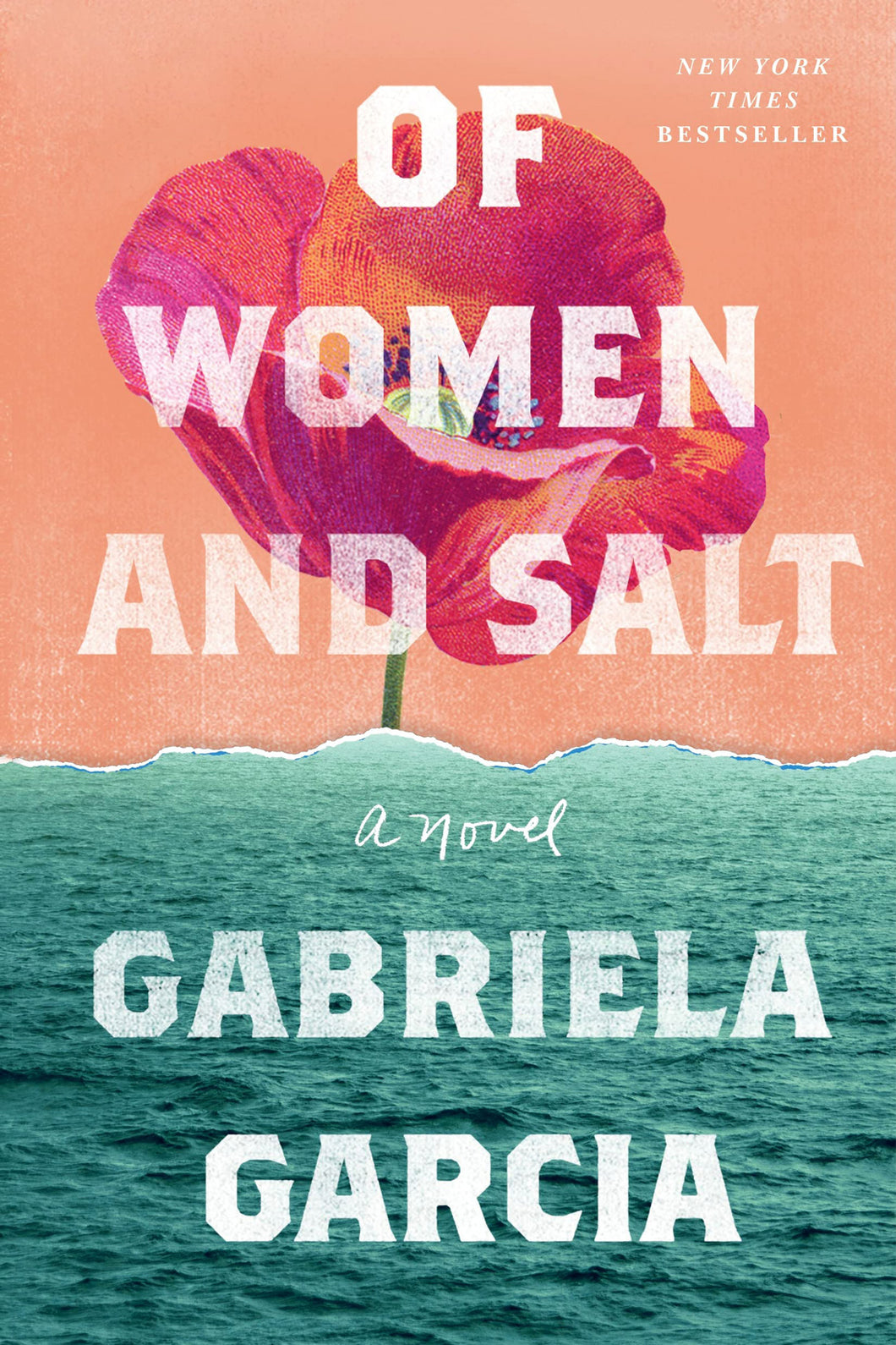 Of Women and Salt by Gabriela Garcia / Hardcover or Paperback - NEW BOOK OR BOOK BOX