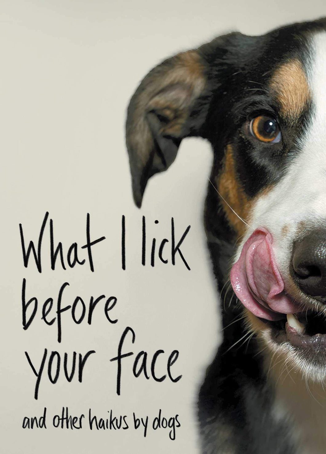What I Lick Before Your Face by Jamie Coleman / Hardcover - NEW BOOK OR BOOK BOX
